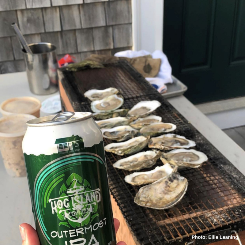 MTF oysters beer