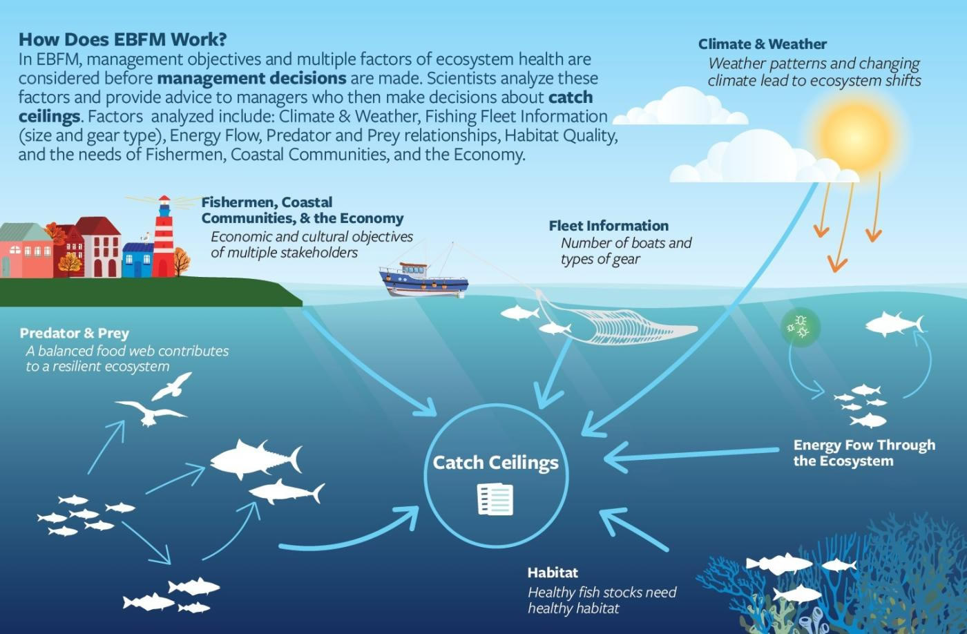 Is EBFM the future of fisheries management?