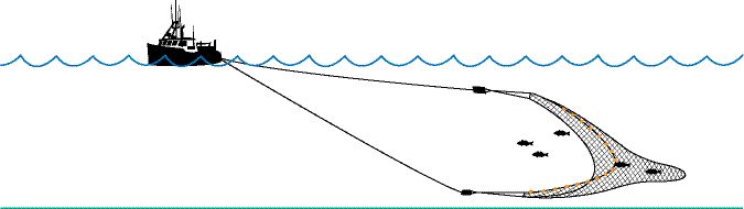 otter-trawl-diagram