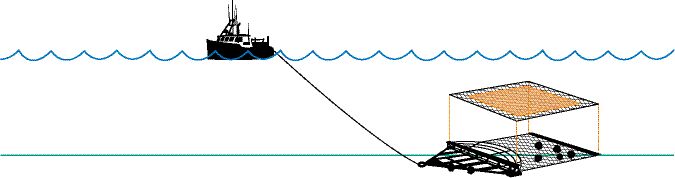 scallop-dredge-diagram