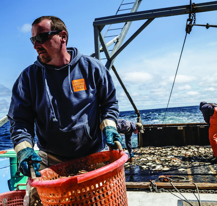 sea-scallop-cape-cod-fishermens-alliance
