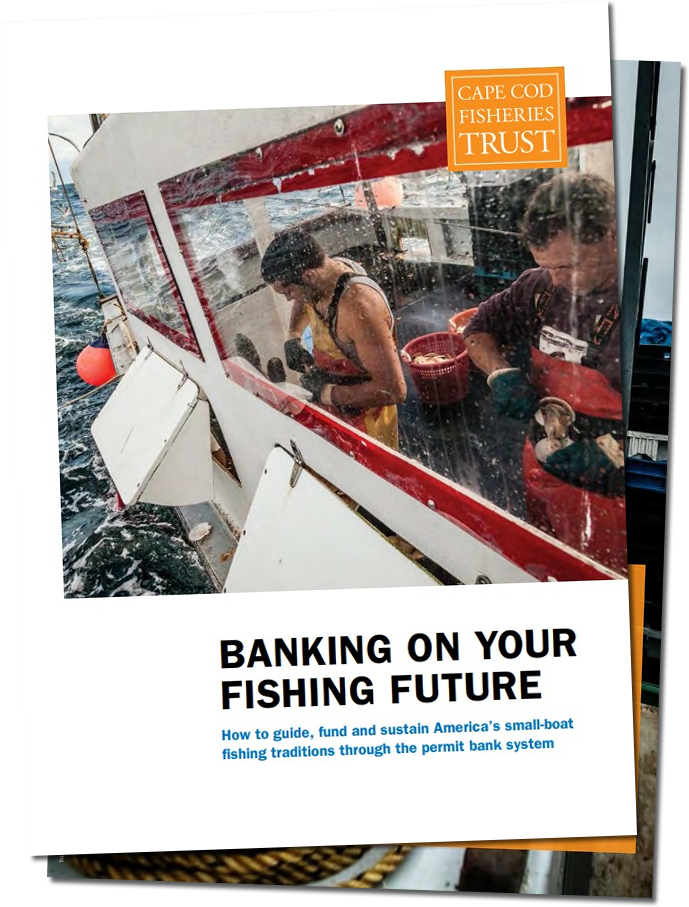 banking-on-fishing-future