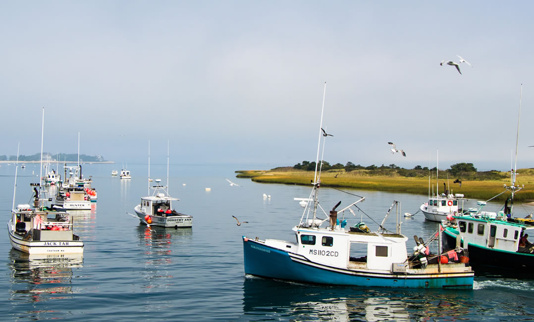 cape-cod-commercial-fishermens-alliance-our-work