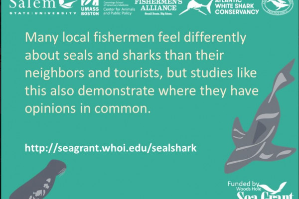 SOCIAL SCIENCE REVEALS VARYING OPINIONS ON SEALS, SHARKS