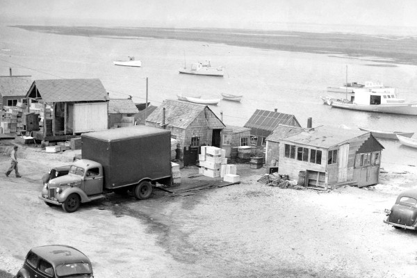 SHANTIES BY THE SEA  Cape Cod Commercial Fishermen's Alliance