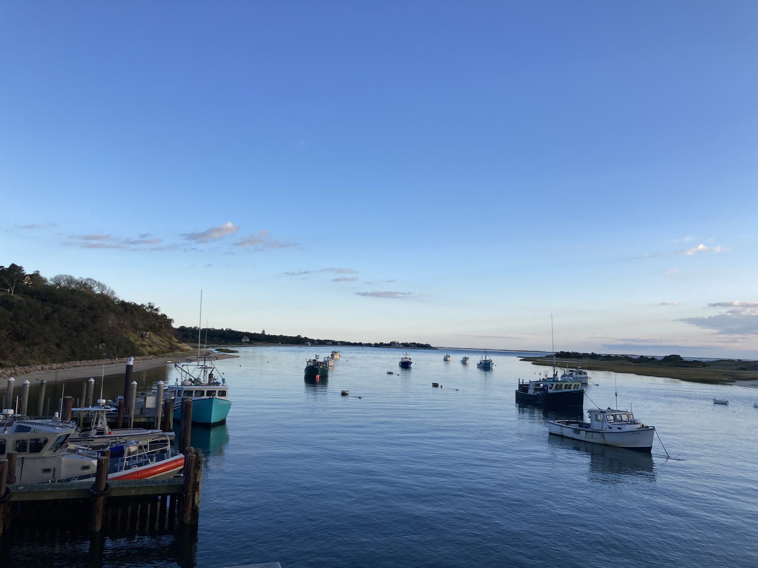 Stem to Stern: A dive into local fisheries
