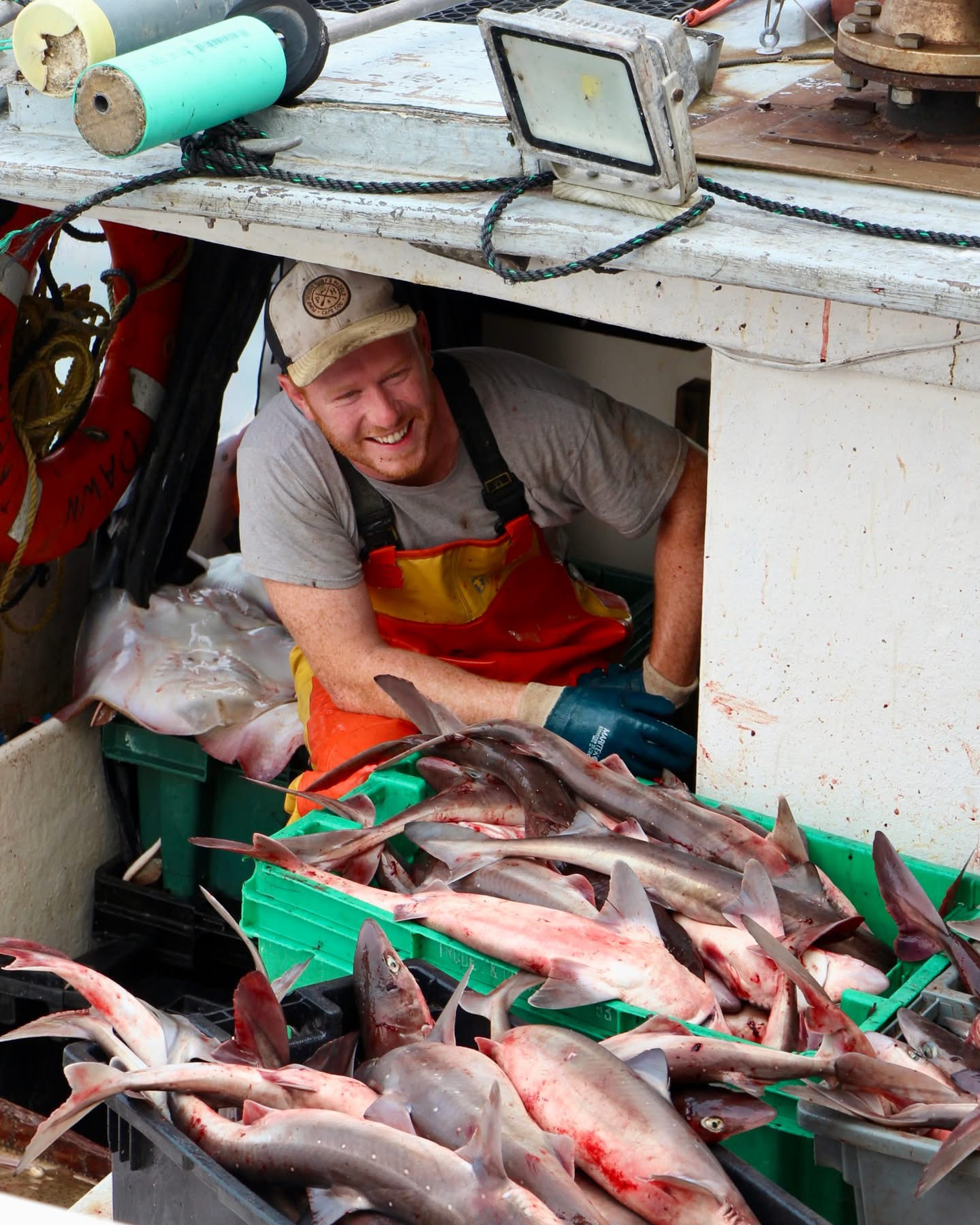 Photo Gallery:  Summer catch in Chatham