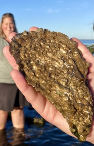 On the flats in Brewster