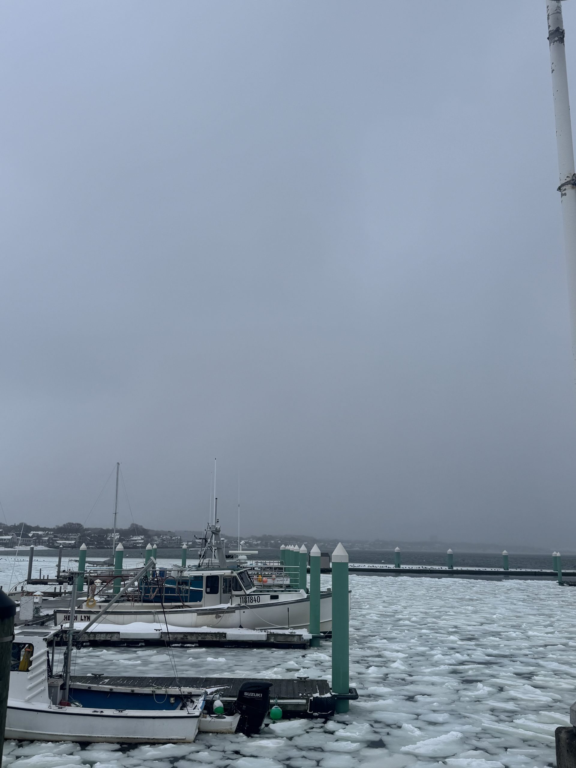 Photo Gallery: Iced in