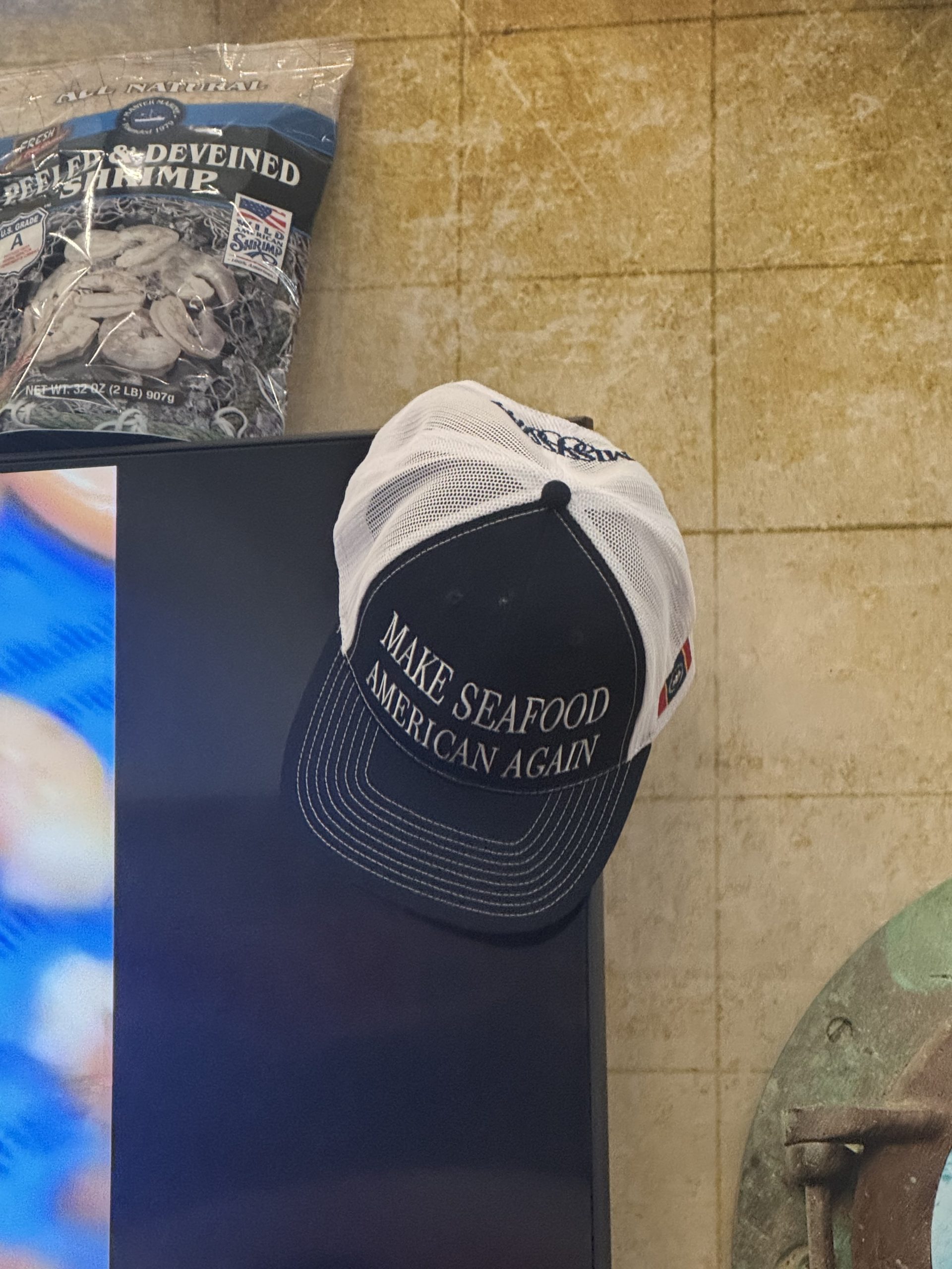 Photo Gallery: Us around and about