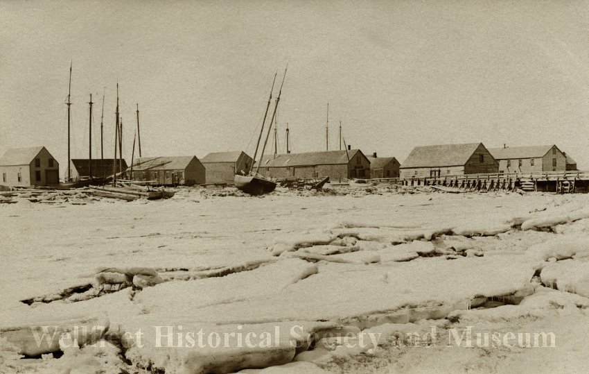 Oysters aren’t Wellfleet’s only claim to fame
